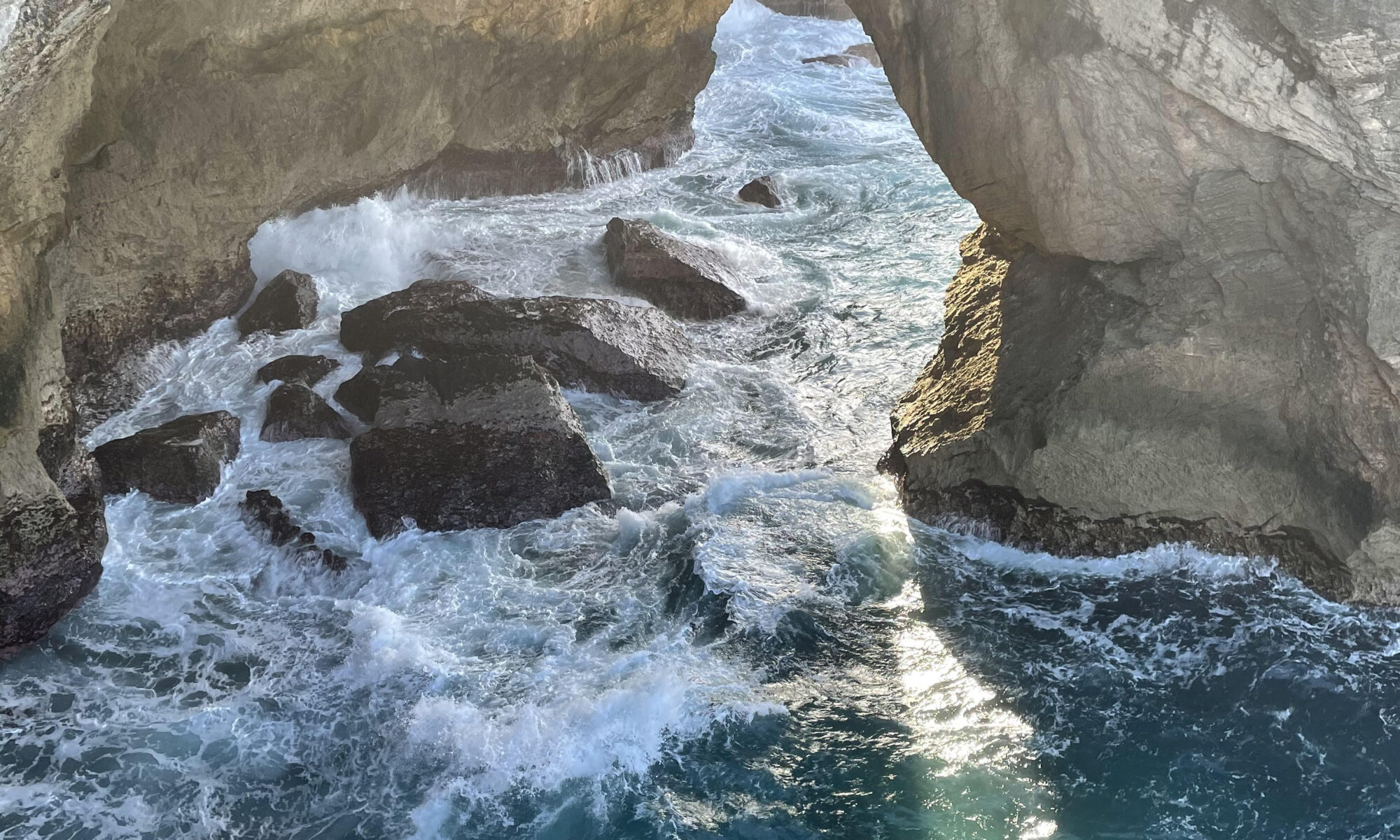 Cave of the...Puerto Rico 2021